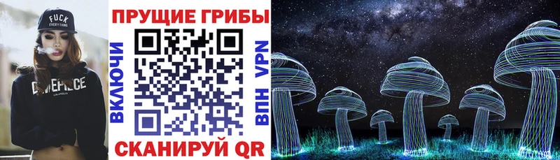 Купить где  Астрахань  Галлюциногенные грибы прущие грибы 