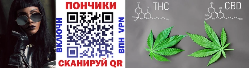 Бошки марихуана Bruce Banner Купить где Астрахань